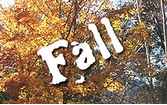 Fall